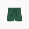 The Sea To Shore Swim Shorts - Olive